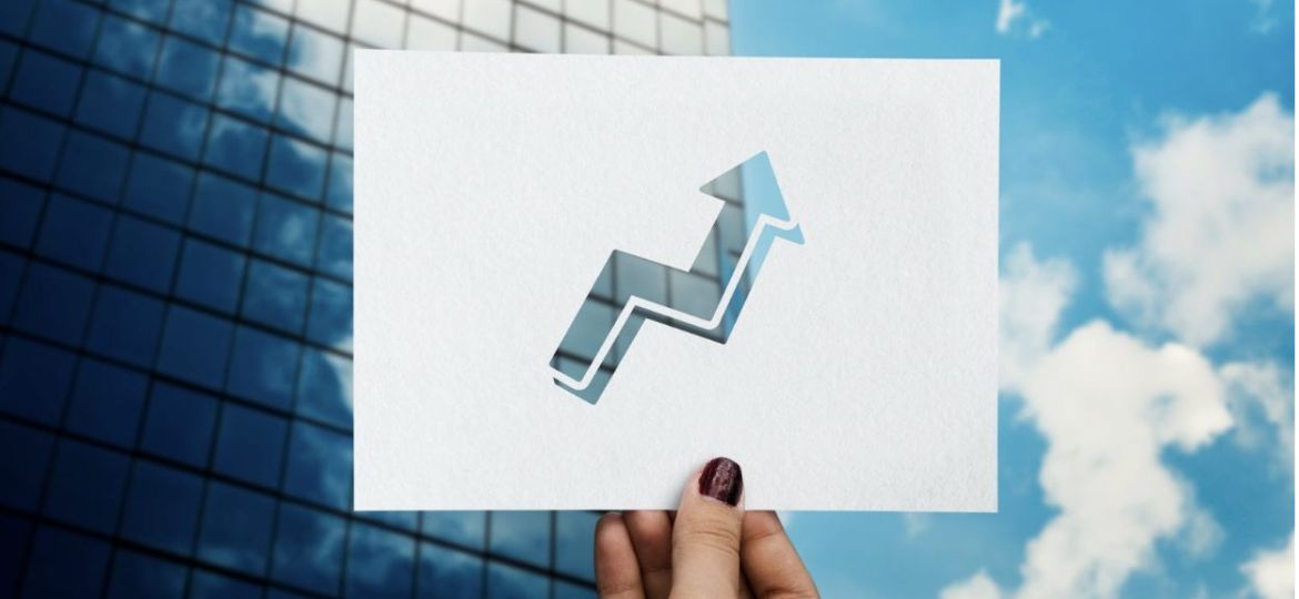 High-Growth Businesses and Borrowing